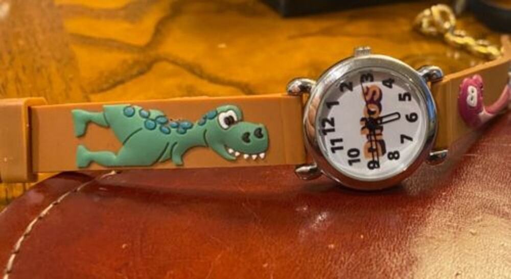 Boy's 27mm Silver Tone Dinos Watch, Resin Dinosaur Band